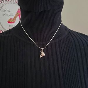 925 SS Dolphin charm and necklace